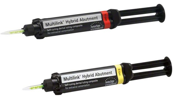 Multilink Hybrid Abutment